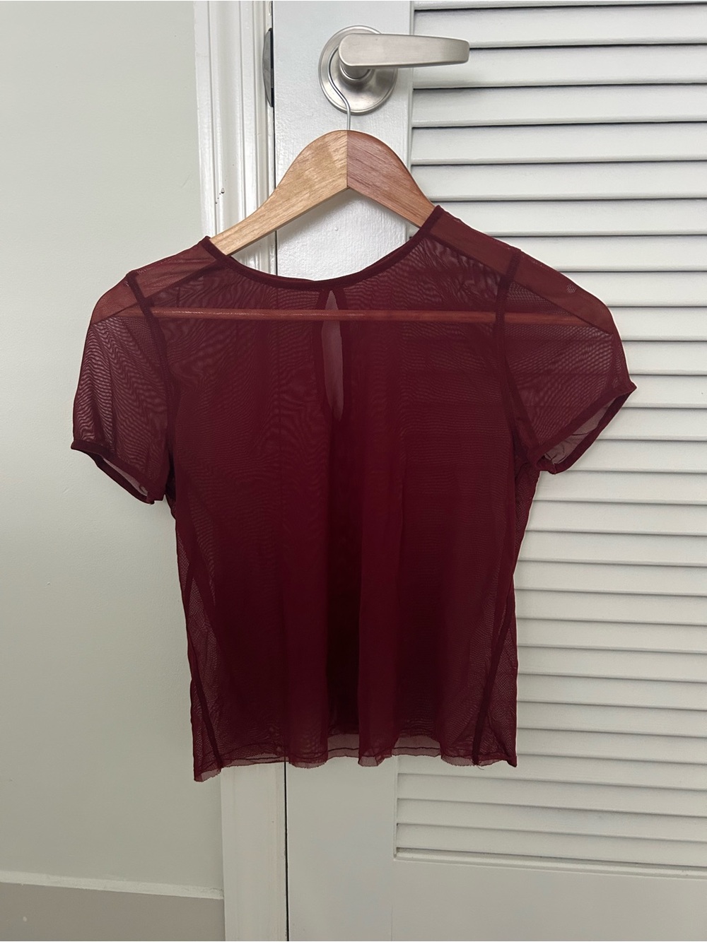 Zara Burgundy Sheer Short Sleeve Crop Top